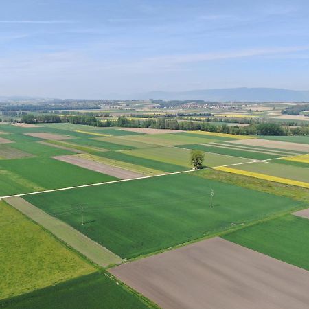 Les Moucherons Avenches Luaran gambar