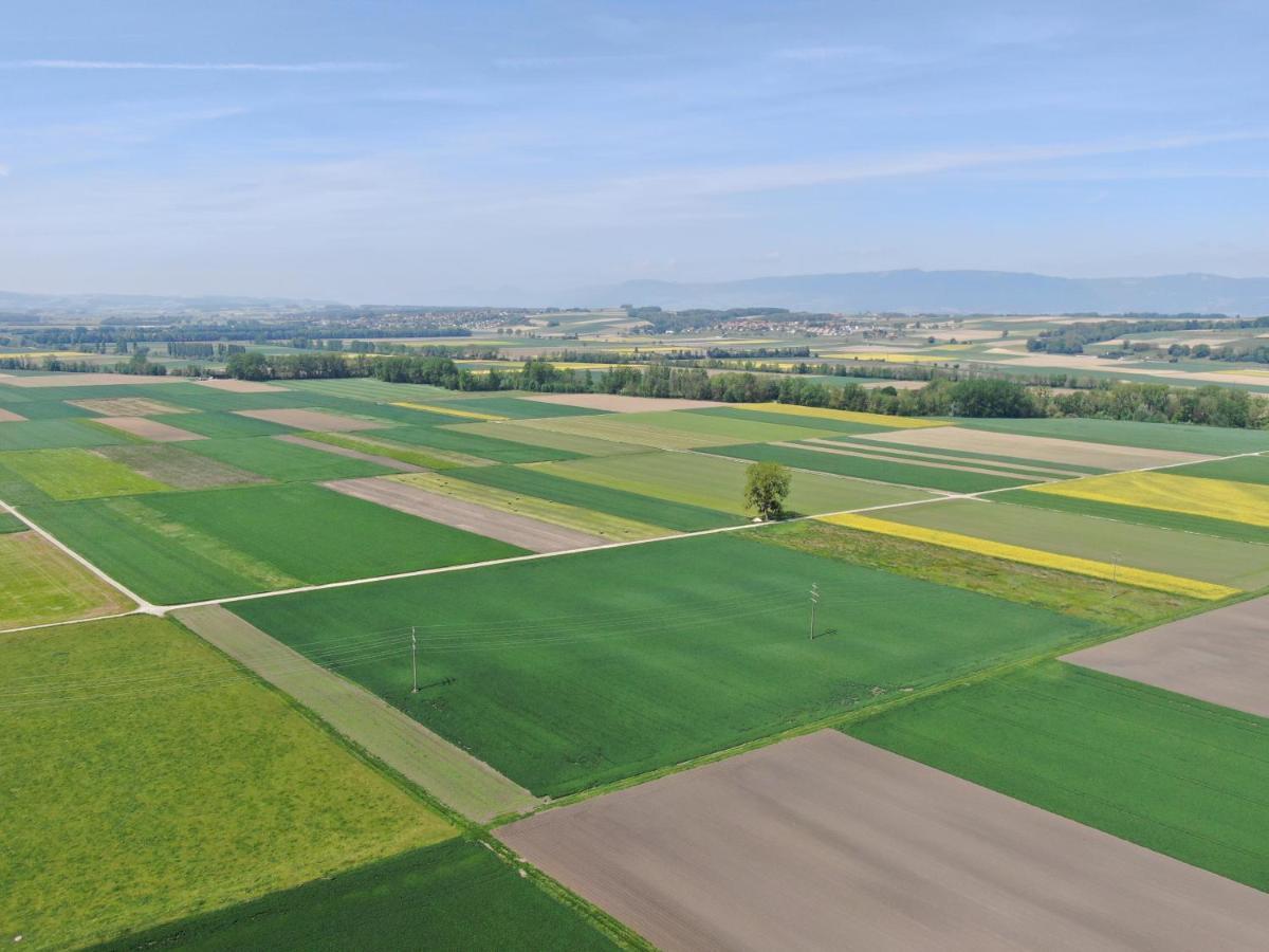 Les Moucherons Avenches Luaran gambar